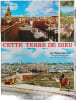 Cette terre de Dieu. Sami Awwad