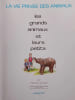 Les grands animaux et leurs petits. 