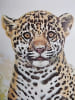 Les grands animaux et leurs petits. 