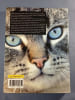 Les chats vus par Bruno Masure. Bruno Masure