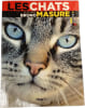 Les chats vus par Bruno Masure. Bruno Masure