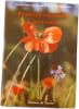 Plantes sauvages &agrave; histoires. Bernard Bertrand  G&eacute;rard Briane  Jean Hannotteaux