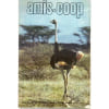 *Amis Coop* N&deg; 162 : Amis Coop. 