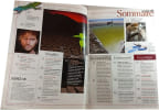 Science & vie n&deg;1114 - Comment la vie reprend le dessus. 