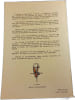 M&eacute;haristes au combat. e. raynaud.lacroze