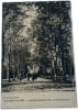DIVONNE-les-BAINS - All&eacute;e de l'Esp&eacute;rance (Parc de l'Etablissement). A. Fran&ccedil;on  &eacute;diteur