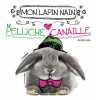 Mon lapin nain peluche ou canaille. Marie-Sophie Germain