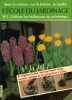 Cultivez les bulbeuses du printemps : De l'oignon à la fleur tout pour réussir tulipes narcisses jacinthes et les autres fleurs à bulbes (L'École du ...