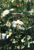 L'Heure au jardin. Gray Robert