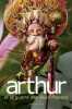 Arthur et les Minimoys tome 4 : Arthur et la guerre des deux mondes. Besson  Luc