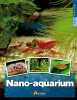 Nano-aquarium. Maître-Allain Thierry