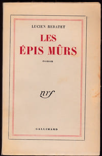 Les épis murs