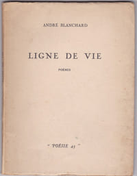 Ligne de vie