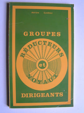 Groupes réducteurs et noyaux dirigeants.. Adrien Loubier