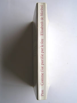 Comme l'or purifiée par le feu. Edith Stein. 1891 - 1942. Elisabeth de Miribel