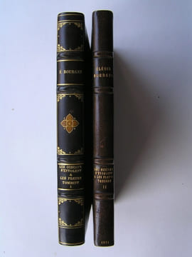 Les oiseaux s'envolent et les fleurs tombent. Complet des deux tomes.. Elémir Bourges