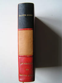 Haute Cour. Le procès de ˮHaute Courˮ