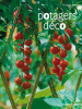 Potagers déco.. FERRET (Philippe) —