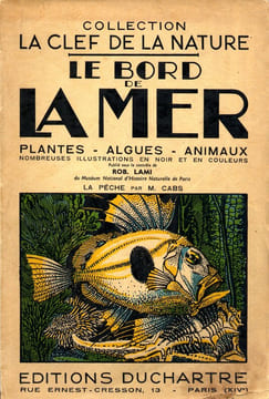 Le bord de la mer - Plantes, algues, animaux.. LAMI (sous le contrôle de Rob.)