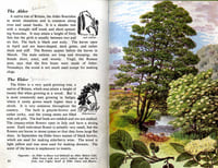 The Ladybird Book of trees.