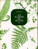 Les plantes du monde - Tome I.. WIT (H. de)