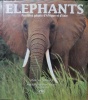 Éléphants, paisibles géants d'Afrique.. SCHNECK (Marcus)