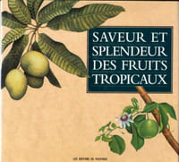 Saveur et splendeur des fruits tropicaux.