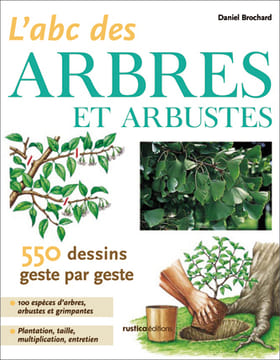 L’abc des arbres et arbustes - 550 dessins geste par geste.. BROCHARD (Daniel)