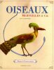 Oiseaux, merveilles & Cie. Manuel d’instructions.. SAMWORTH (Kate)