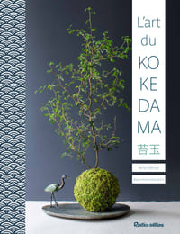 L’art du kokedama.