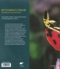 Battements d’ailes - Des ailes pour sortir de l’ombre.. HÉRAS (Joël)