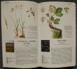 Guide des plantes sauvages.. COLLECTIF AUTEURS