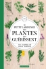 Le petit Larousse des plantes qui guérissent - 500 plantes et leurs remèdes.. DEBUIGNE (Gérard), COUPLAN (François)