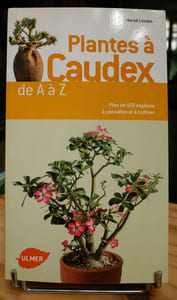 Plantes à caudex : mode d’emploi — Plus de 100 espèces à connaître et à cultiver.