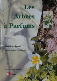 Les arbres à parfums.