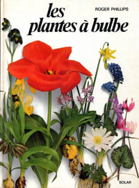 Les plantes à bulbes.