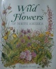 Wild flowers of North America (= Plantes sauvages d'Amérique du Nord).. FOREY (Pamela)