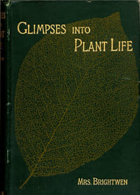 Glimpses into plant life - An easy guide to the study of botany (= Aperçus de la vie des plantes - Un guide facile pour étudier la botanique).