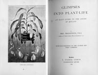 Glimpses into plant life - An easy guide to the study of botany (= Aperçus de la vie des plantes - Un guide facile pour étudier la botanique).