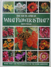 The South African - What flower is that ?