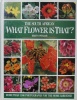 The South African - What flower is that ?. PIENAAR (Kristo)