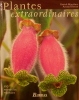 Plantes extraordinaires  300 merveilles végétales.. MIOULANE (Patrick), DESCAT (Arnaud)