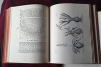 Histoire générale des drogues simples et composées , Pomet et fils en 2 tomes , Fac similé de l'édition de 1735 reliés plein basane, Editions de la Porte Verte 1982 , Histoire de la pharmacie , Herboristerie , Apothicaires , Médecine