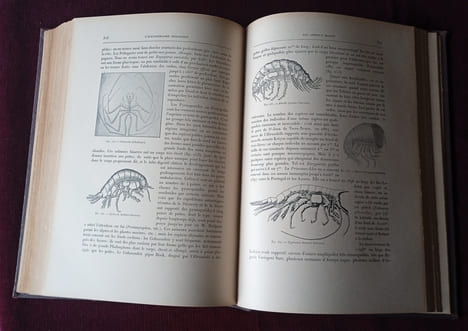 L'Océanographie , Jules Richard , Vuibert & Nony 1907 , Envoi autographe dédicace de Jules Richard au Professeur Jean Becquerel , Reliure , Histoire ...