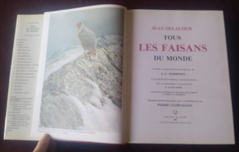 Tous les Faisans du Monde , Jean Delacour , Première édition française avec la coopération de Pierre Ciarpaglini, Editions de l'orée 1983 , Oiseaux , ...