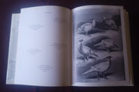 Tous les Faisans du Monde , Jean Delacour , Première édition française avec la coopération de Pierre Ciarpaglini, Editions de l'orée 1983 , Oiseaux , Histoire naturelle , Ornithologie , Chasse , Cynégétique