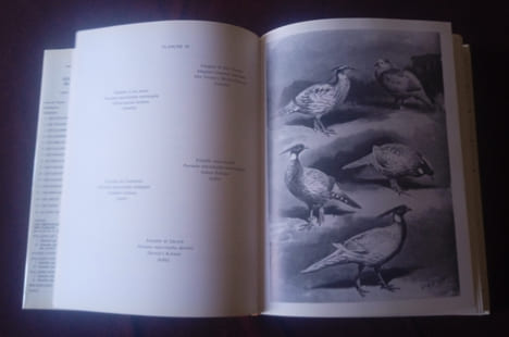Tous les Faisans du Monde , Jean Delacour , Première édition française avec la coopération de Pierre Ciarpaglini, Editions de l'orée 1983 , Oiseaux , ...