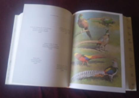 Tous les Faisans du Monde , Jean Delacour , Première édition française avec la coopération de Pierre Ciarpaglini, Editions de l'orée 1983 , Oiseaux , ...