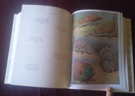 Tous les Faisans du Monde , Jean Delacour , Première édition française avec la coopération de Pierre Ciarpaglini, Editions de l'orée 1983 , Oiseaux , ...