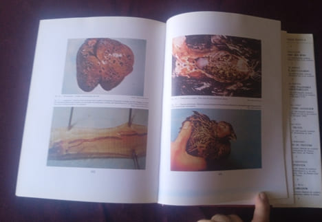 Tous les Faisans du Monde , Jean Delacour , Première édition française avec la coopération de Pierre Ciarpaglini, Editions de l'orée 1983 , Oiseaux , ...